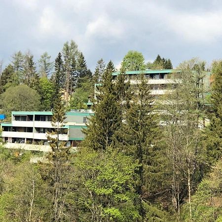 Apartment Harzblick -Neu Modernisiert- 圣安德里斯伯格 外观 照片